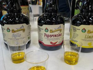 Von Bordeaux bis China: Unsere spannendsten Entdeckungen auf der ProWein 2025